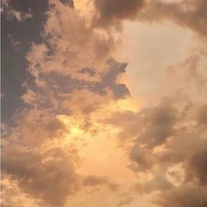 Meet your Posher, Marleigh